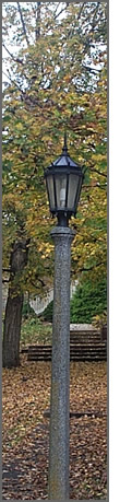 Tusculum Oak